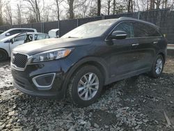 KIA salvage cars for sale: 2017 KIA Sorento LX