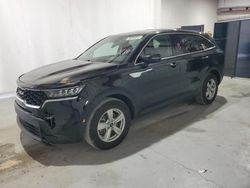 KIA Sorento salvage cars for sale: 2023 KIA Sorento LX