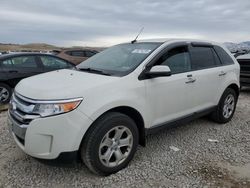 Ford Edge Vehiculos salvage en venta: 2011 Ford Edge SEL