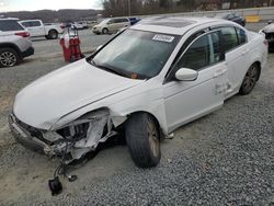 Honda Vehiculos salvage en venta: 2011 Honda Accord EXL