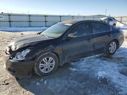 Nissan salvage cars for sale: 2012 Nissan Altima Base