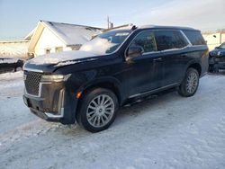 2023 Cadillac Escalade Premium Luxury en venta en Northfield, OH