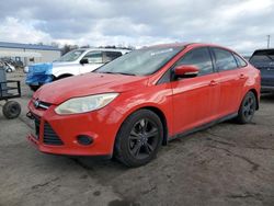 Ford Focus salvage cars for sale: 2014 Ford Focus SE