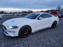 Ford Mustang salvage cars for sale: 2019 Ford Mustang