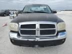 2005 Dodge Dakota Quad SLT