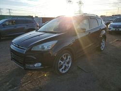 Salvage cars for sale from Copart Elgin, IL: 2014 Ford Escape Titanium
