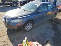 Toyota Camry salvage cars for sale: 2009 Toyota Camry Hybrid