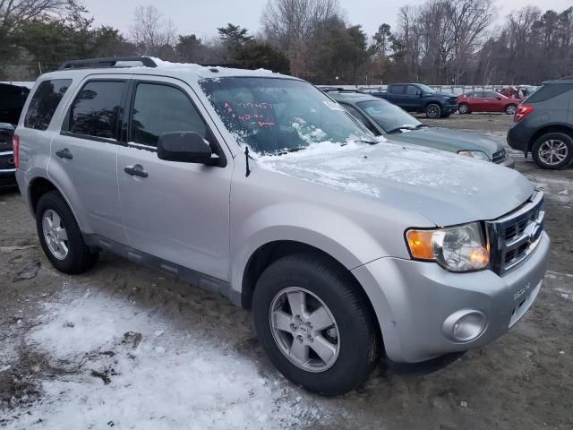 2011 Ford Escape XLT