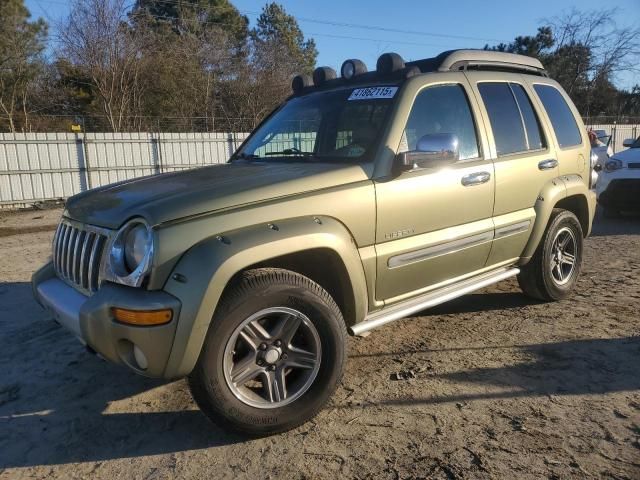 2004 Jeep Liberty Renegade