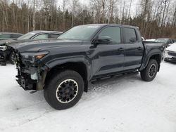 Toyota salvage cars for sale: 2024 Toyota Tacoma Double Cab