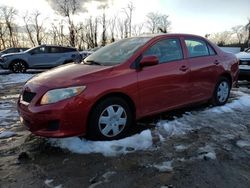 2010 Toyota Corolla Base for sale in Baltimore, MD