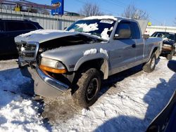 Dodge Vehiculos salvage en venta: 1999 Dodge Dakota