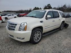 Salvage cars for sale from Copart Memphis, TN: 2014 Cadillac Escalade ESV Platinum