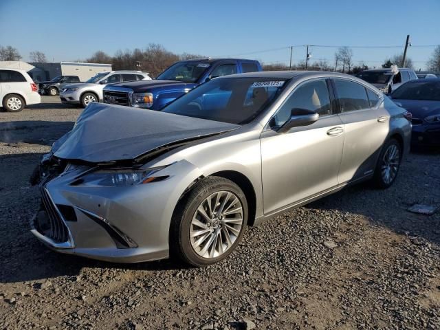 2019 Lexus ES 300H