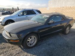 Ford Mustang Vehiculos salvage en venta: 2005 Ford Mustang