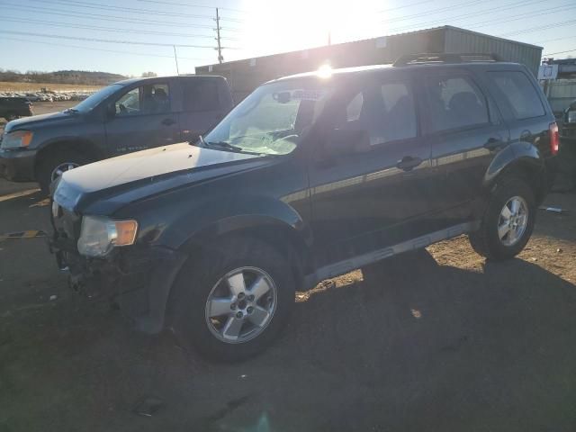 2009 Ford Escape XLT