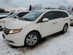 Honda salvage cars for sale: 2017 Honda Odyssey EX