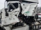 2012 Freightliner Cascadia 125