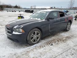 Dodge Charger salvage cars for sale: 2014 Dodge Charger SXT