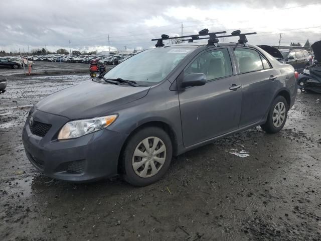 2009 Toyota Corolla Base