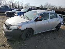 Toyota Corolla salvage cars for sale: 2010 Toyota Corolla Base