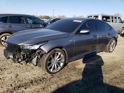 Cadillac ct5 salvage cars for sale: 2022 Cadillac CT5-V