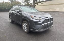 Toyota rav4 salvage cars for sale: 2019 Toyota Rav4 LE