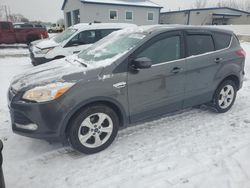 Ford Escape salvage cars for sale: 2015 Ford Escape SE