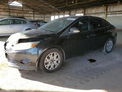 Ford Focus salvage cars for sale: 2013 Ford Focus SE