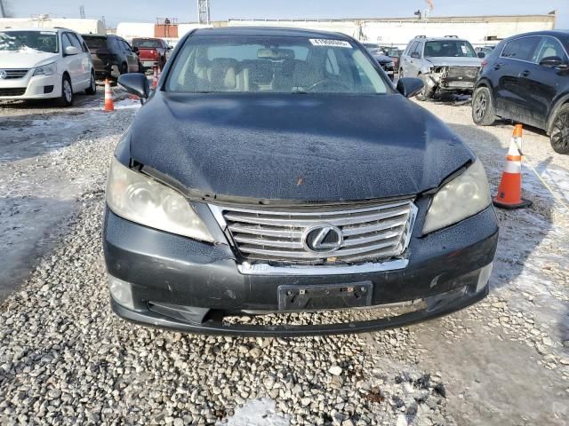 2010 Lexus ES 350