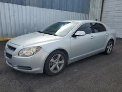 Salvage cars for sale from Copart Greenwell Springs, LA: 2011 Chevrolet Malibu 1LT