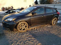 Ford Focus st salvage cars for sale: 2014 Ford Focus ST