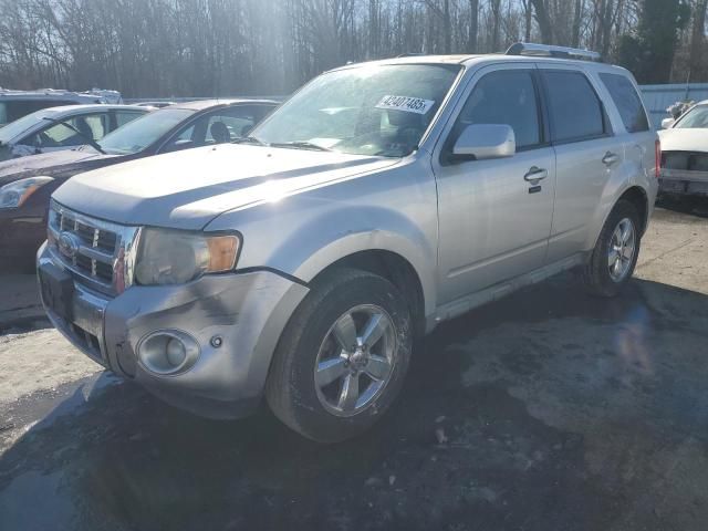 2010 Ford Escape Limited