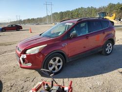 Ford Escape Vehiculos salvage en venta: 2013 Ford Escape SE