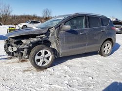 Ford Escape salvage cars for sale: 2014 Ford Escape SE