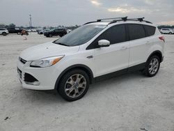 Ford Escape sel Vehiculos salvage en venta: 2013 Ford Escape SEL