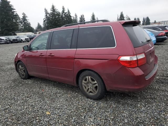 2005 Honda Odyssey EXL