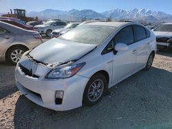 Toyota Prius salvage cars for sale: 2010 Toyota Prius