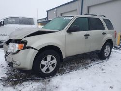 Ford Escape salvage cars for sale: 2011 Ford Escape XLT