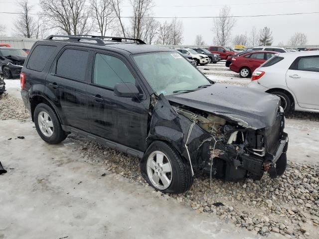 2010 Ford Escape XLS