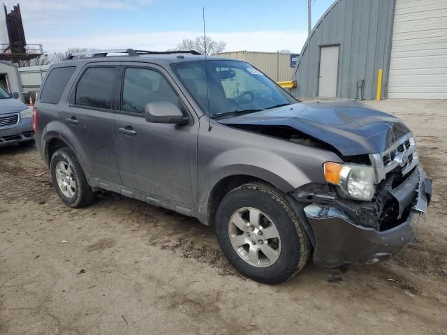 2011 Ford Escape Limited