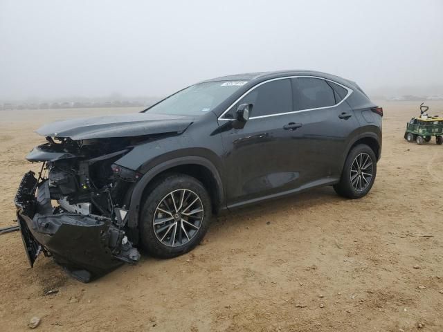 2024 Lexus NX 350H Base