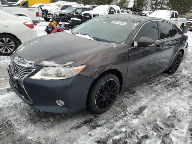 2014 Lexus ES 300H