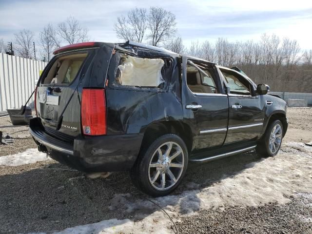 2008 Cadillac Escalade Luxury