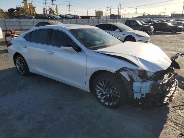 2024 Lexus ES 300H Base