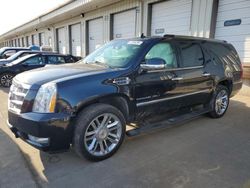 Cadillac Escalade salvage cars for sale: 2014 Cadillac Escalade ESV Platinum