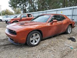 Dodge salvage cars for sale: 2023 Dodge Challenger SXT