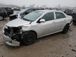 Toyota salvage cars for sale: 2010 Toyota Corolla Base