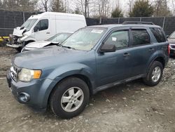 Ford salvage cars for sale: 2011 Ford Escape XLT