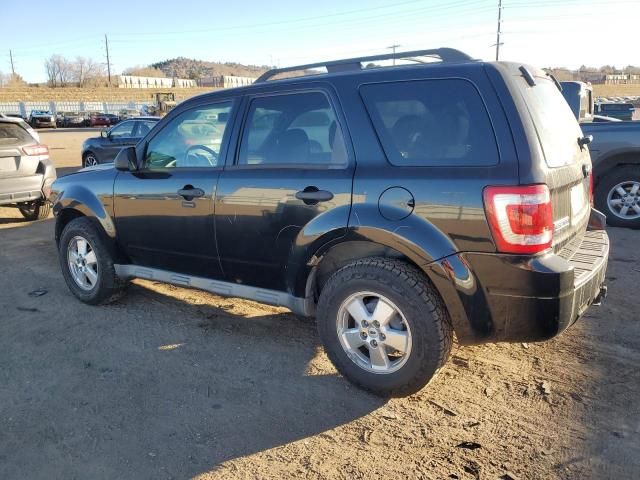 2009 Ford Escape XLT